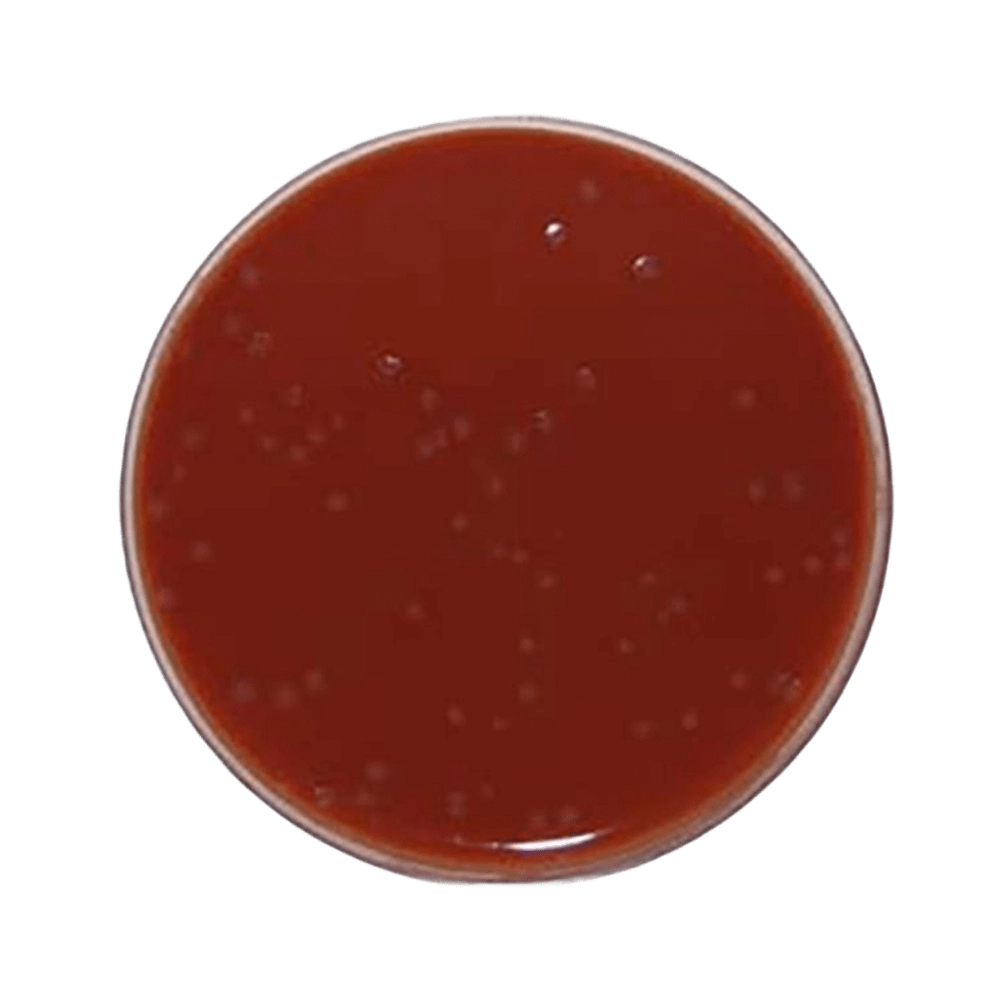 Agar Chocolate