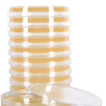 AGAR McCONKEY
