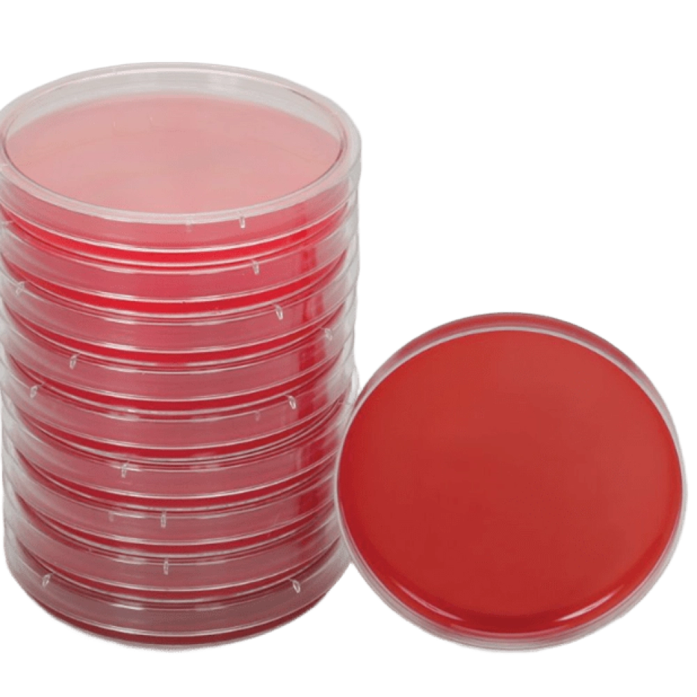 AGAR MULLER HINTON