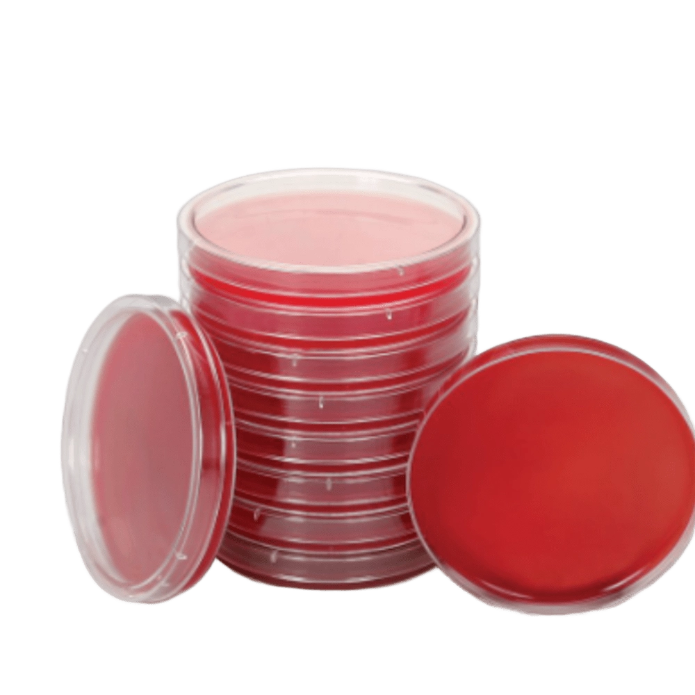 Agar Sangre Cordero T.S.A