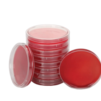 Agar Sangre Cordero T.S.A Agar Sangre Cordero T.S.A