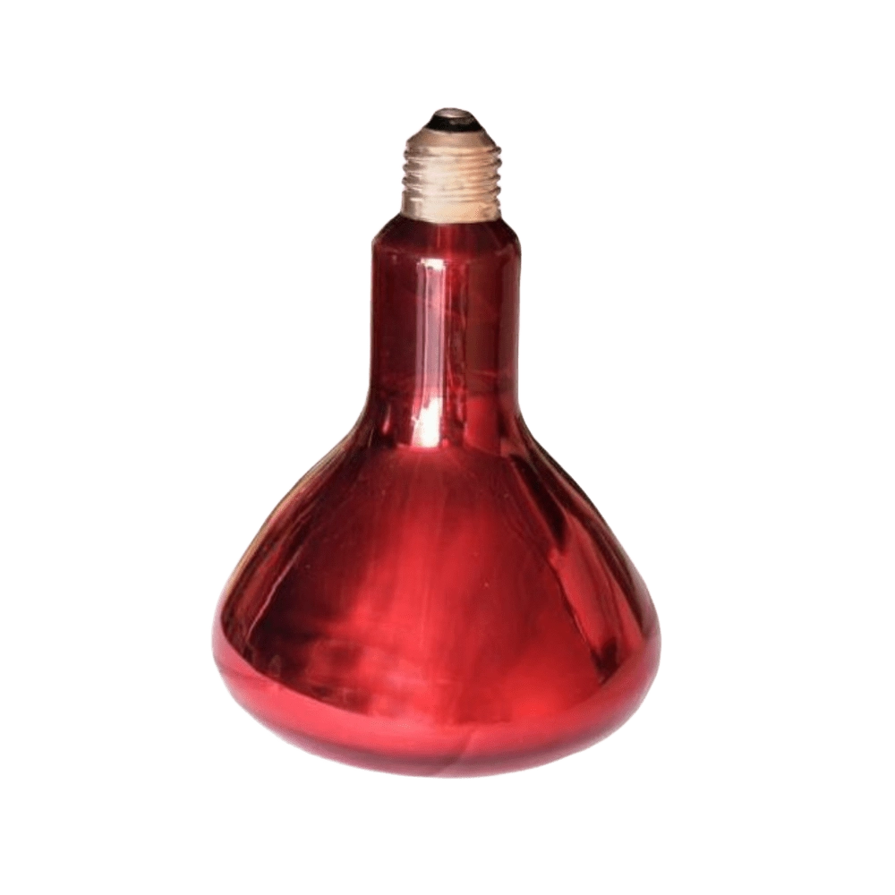 Bombilla infrarrojos 150w