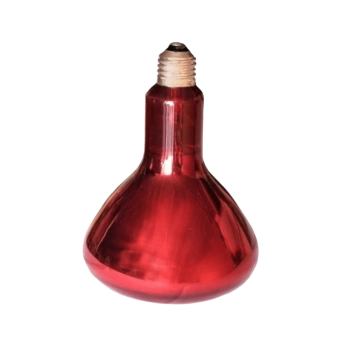 Bombilla Infrarrojos 150W