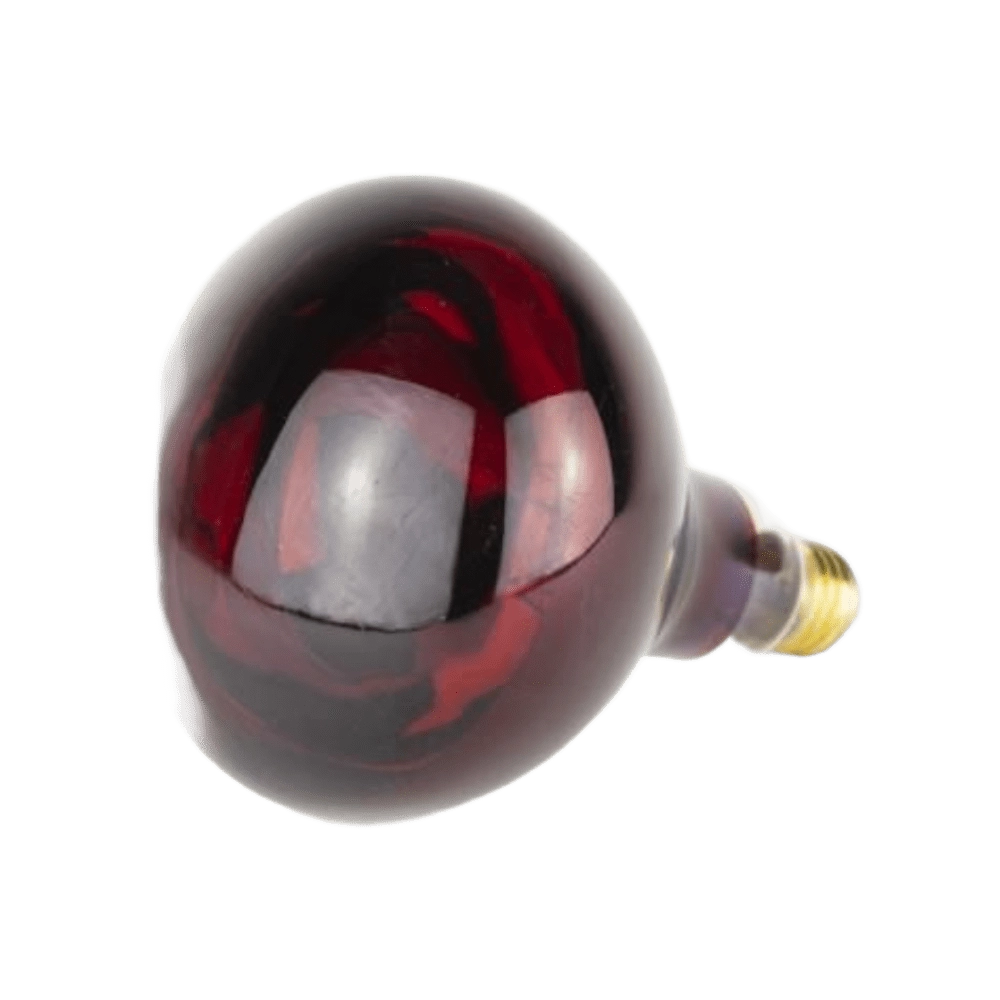 bombilla infrarrojos 275w