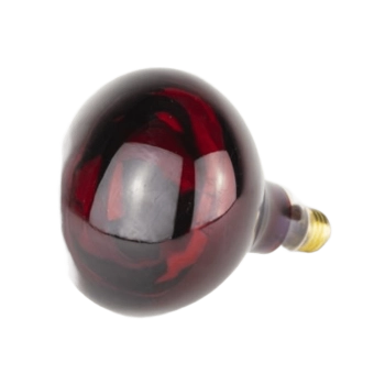 Bombilla Infrarrojos 275W