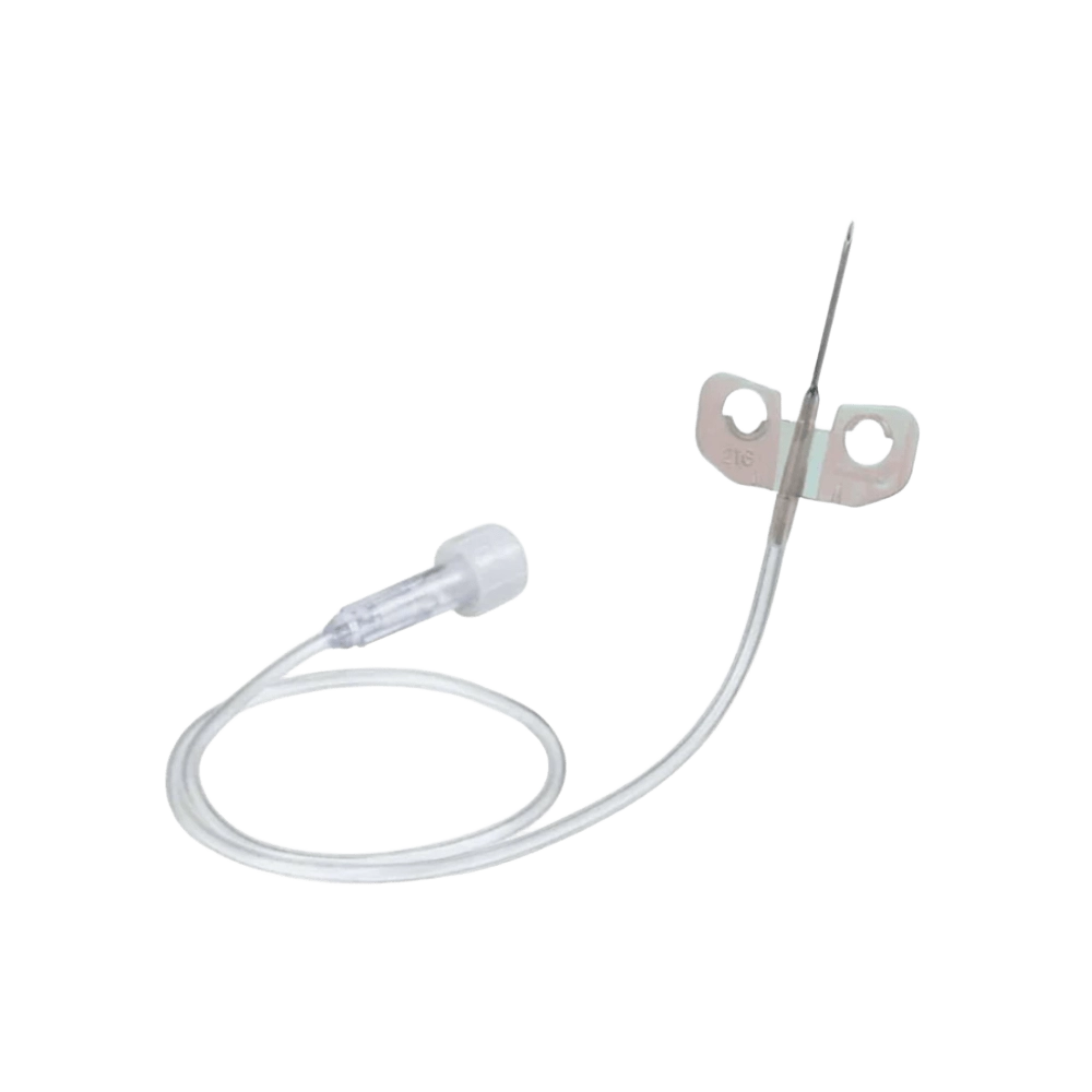 Palomilla Extracción Braun Palomilla Extracción Braun