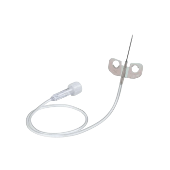 Palomilla Extracción Braun