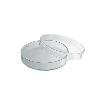 Placa Petri Normal Placa Petri Normal