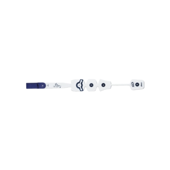 sensor bis xp quatro