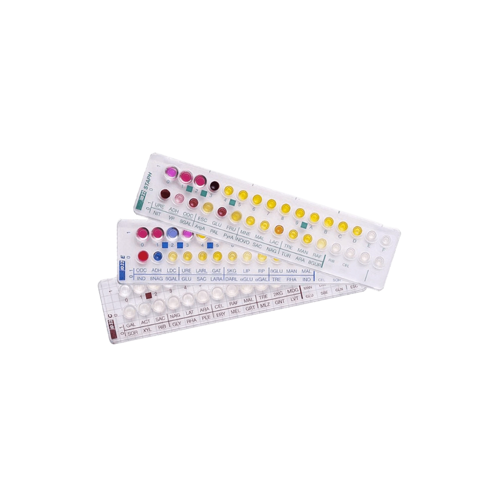 Test Bacterias Api