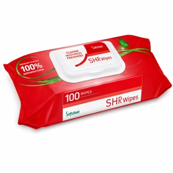 Toallitas desinfectantes Dentasept SH pro wipes
