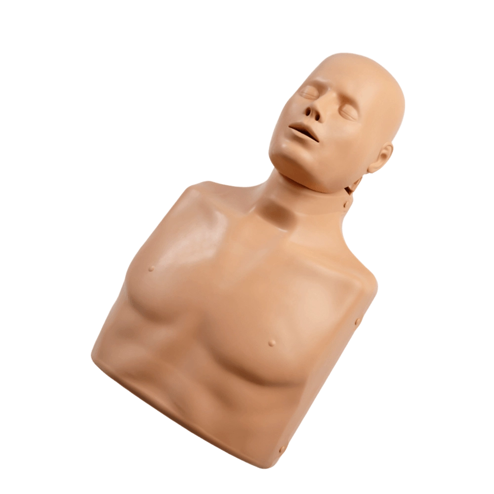 Torso para formación RCP Advance adulto Torso para formación RCP Advance adulto
